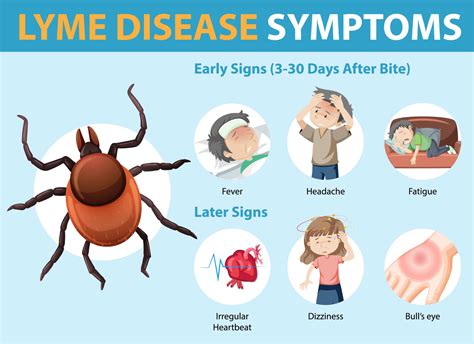 What is Lyme Disease?